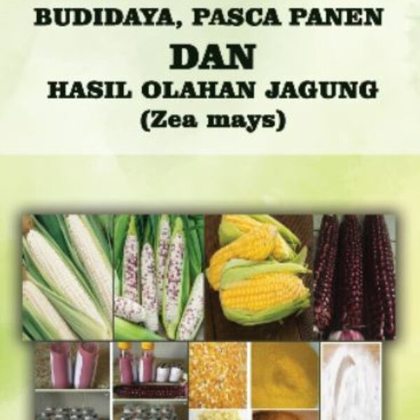 BUDIDAYA, PASCA PANEN DAN HASIL OLAHAN JAGUNG (Zea mays)