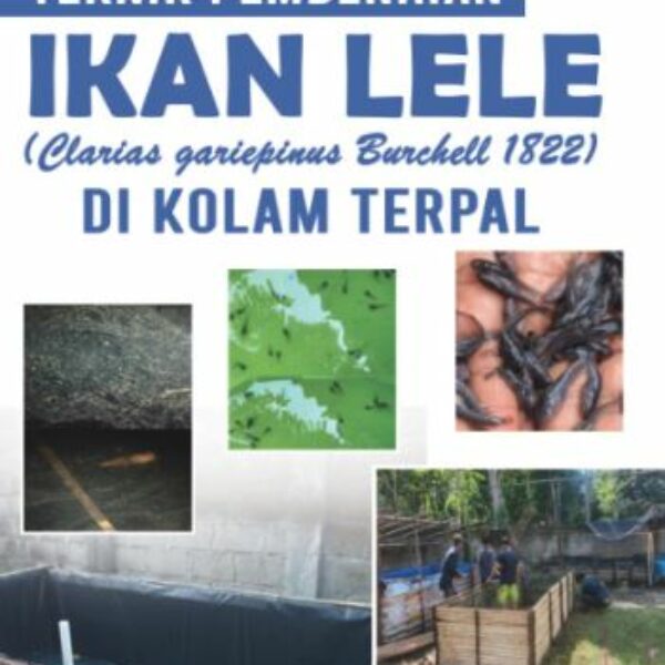 TEKNIK PEMBENIHAN IKAN LELE (Clarias gariepinus Burchell 1822) DI KOLAM TERPAL