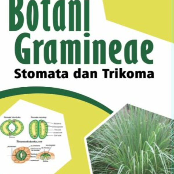 Botani Gramineae : Stomata dan Trikoma