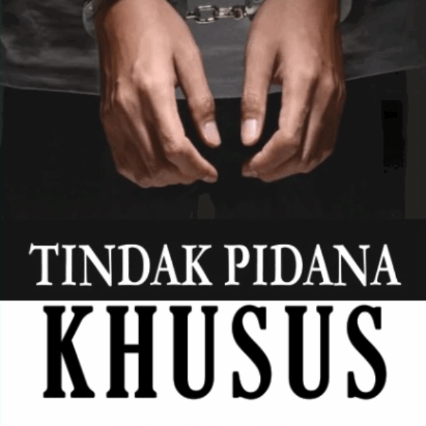 TINDAK PIDANA KHUSUS